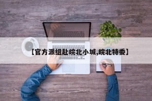 【官方派组赴皖北小城,皖北特委】