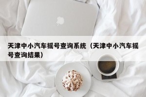 天津中小汽车摇号查询系统（天津中小汽车摇号查询结果）