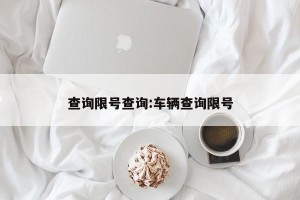 查询限号查询:车辆查询限号