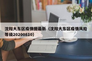 沈阳大东区疫情图最新（沈阳大东区疫情风险等级20200810）